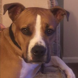 Meet your Posher, Jan